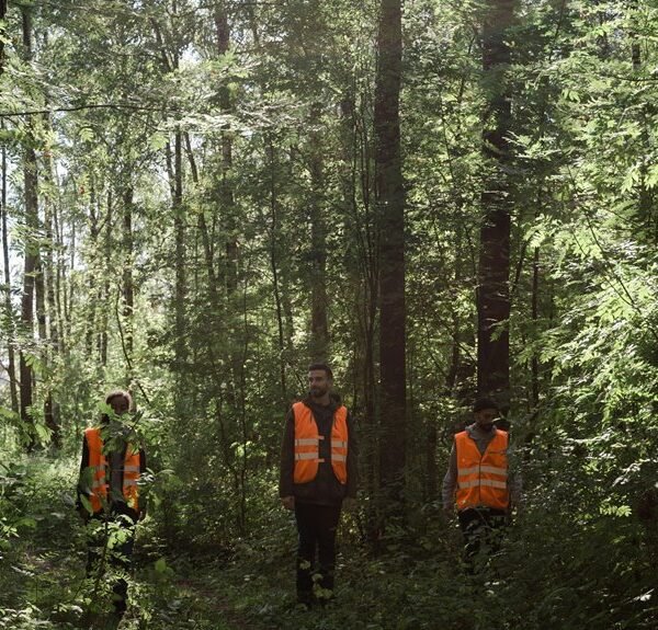 Business Environment Monitoring Overview of 651379899, 640638476, 604060753, 873500663, 931223982, 605638061