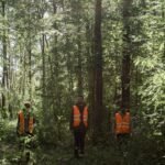 business environment monitoring summary