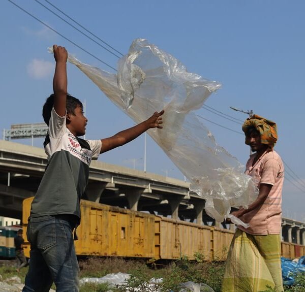 Strategic Enterprise Intelligence Snapshot for 8777708065, 604382337, 5412369435, 84999401830, 919462805, 3624961004