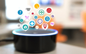 Voice Assistants and Home Automation