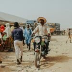 sector market activity review