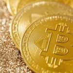 sector market conditions analysis